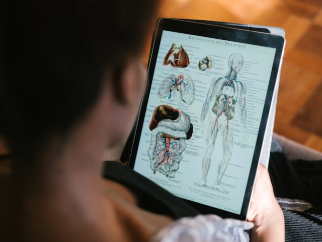 Vocabulary about World Kidney Day & Internal Organs