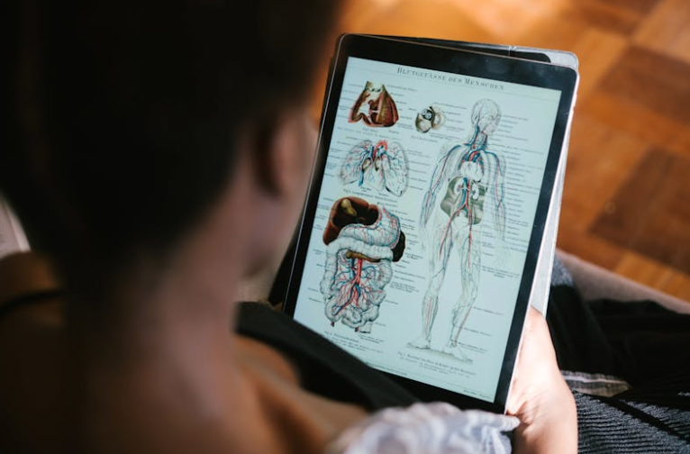 Vocabulary about World Kidney Day & Internal Organs